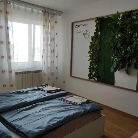 Apartment Centrum Waldenburg